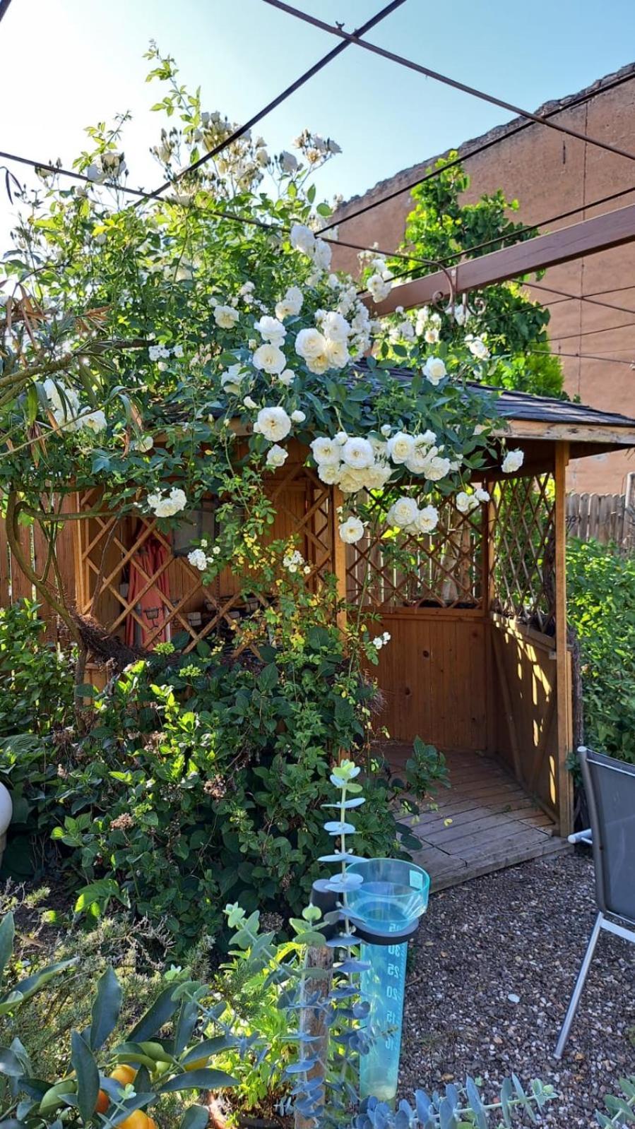 Landhauskiebel Erden 外观 照片