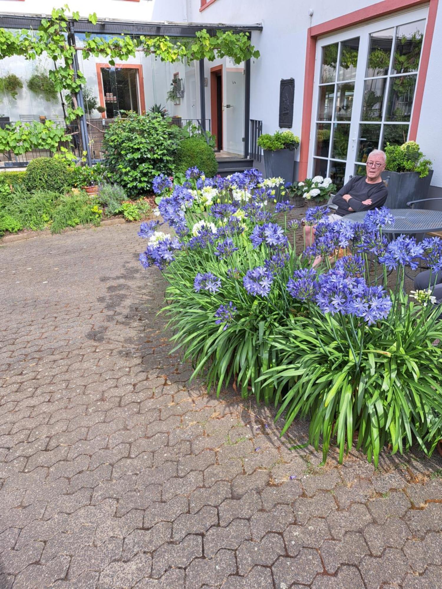 Landhauskiebel Erden 外观 照片