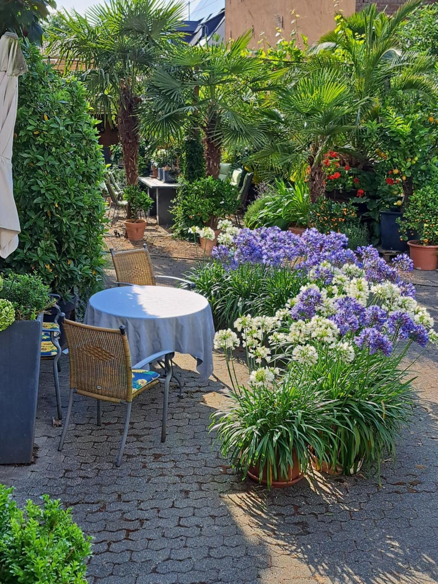 Landhauskiebel Erden 外观 照片